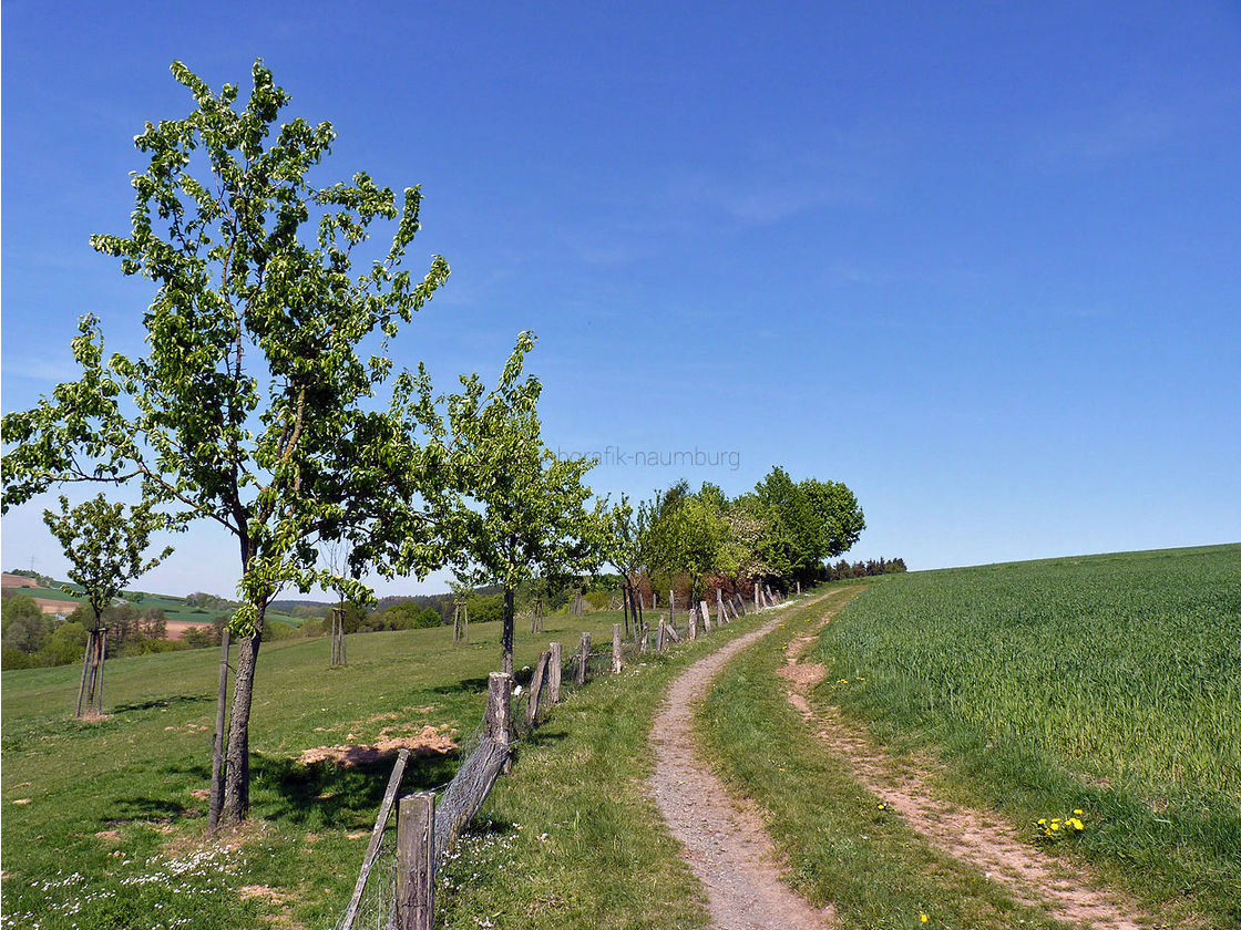 Impressionen aus Naumburg (Foto: Karl-Franz Thiede)